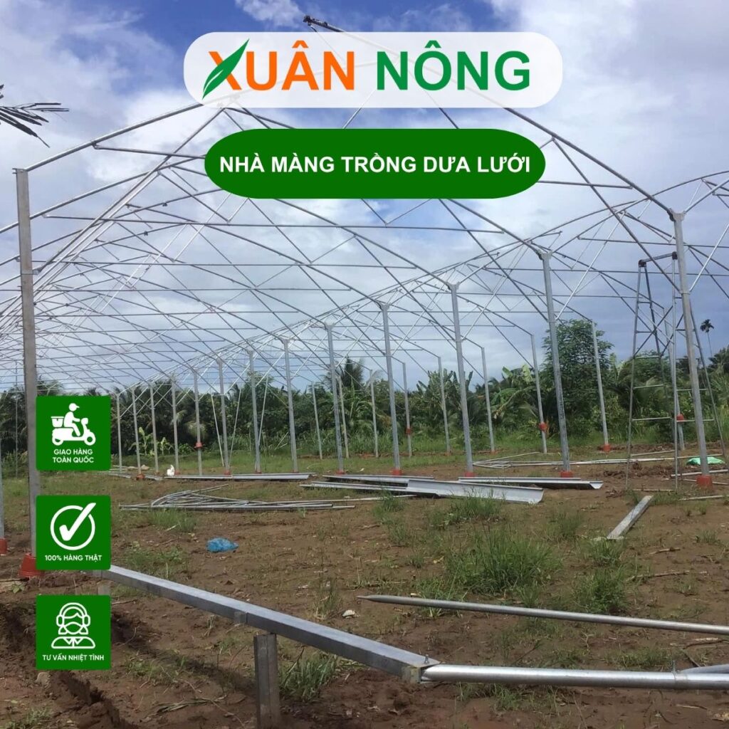 Chi phí làm nhà màng trồng dưa lưới 1000m2