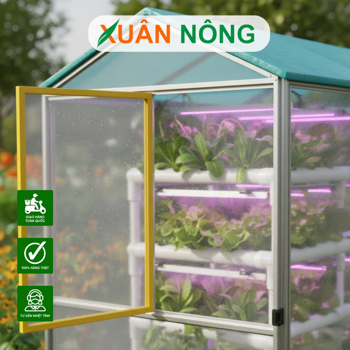 Nhà màng mini - Trồng dưa lưới, rau thủy canh cho năng suất cao