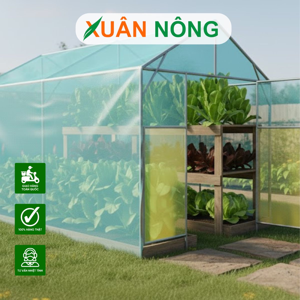 Nhà màng mini - Cách vận hành và tối ưu năng suất trồng trọt quanh năm