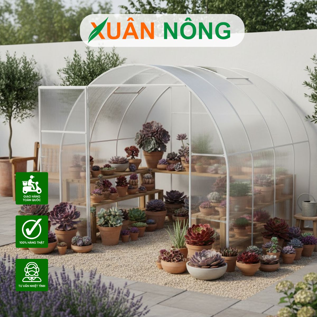 Nhà màng mini - Hướng dẫn đầu tư mô hình từ A-Z cho người mới bắt đầu