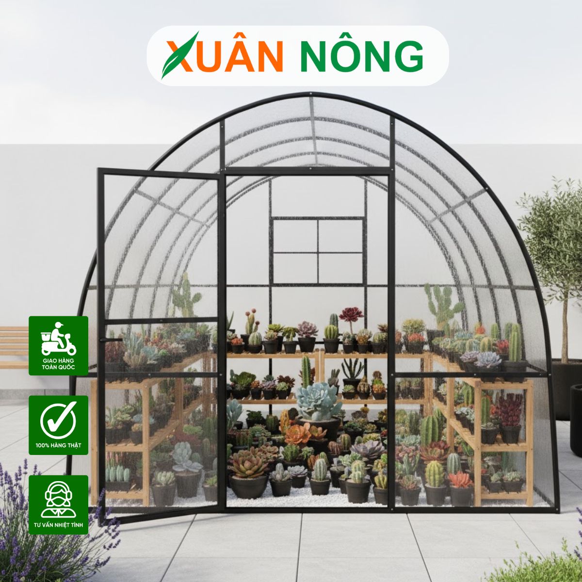 Nhà màng mini - Hướng dẫn đầu tư mô hình từ A-Z cho người mới bắt đầu