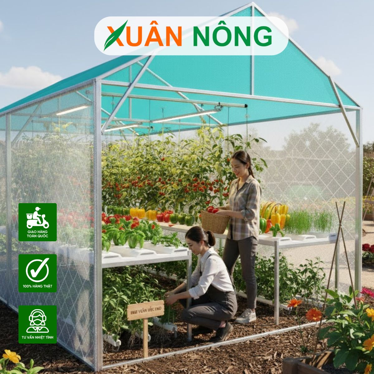Nhà màng mini - Giải pháp trồng rau sạch tại nhà hiệu quả và tiết kiệm