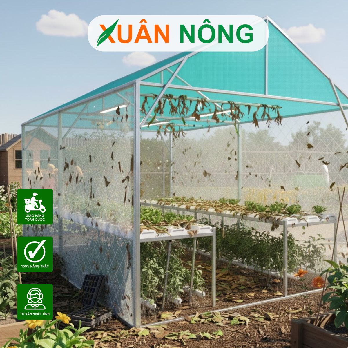 Nhà màng mini - Bảo trì và vệ sinh sau mỗi vụ mùa