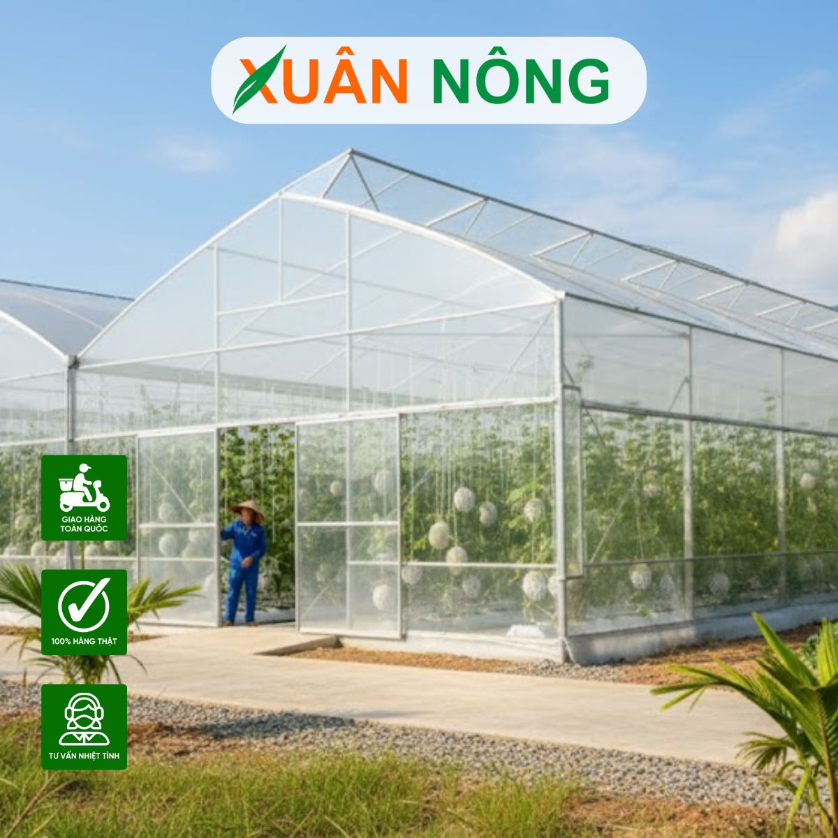 Nhà màng trồng dưa lưới - Kinh nghiệm vận hành hệ thống tự động