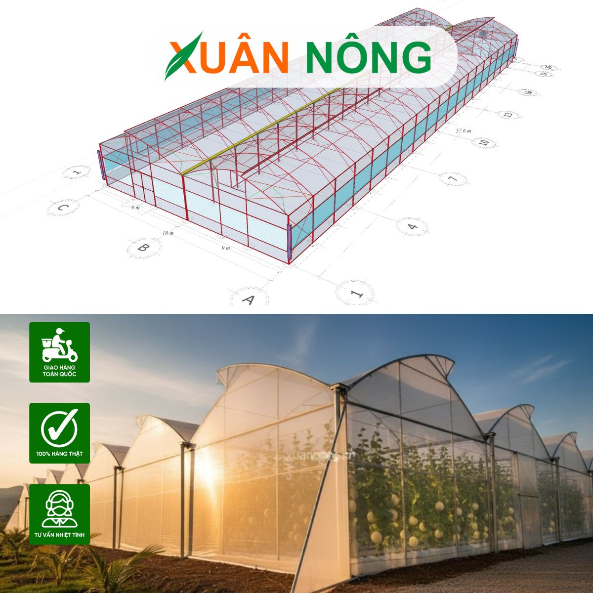 Nhà màng trồng dưa lưới