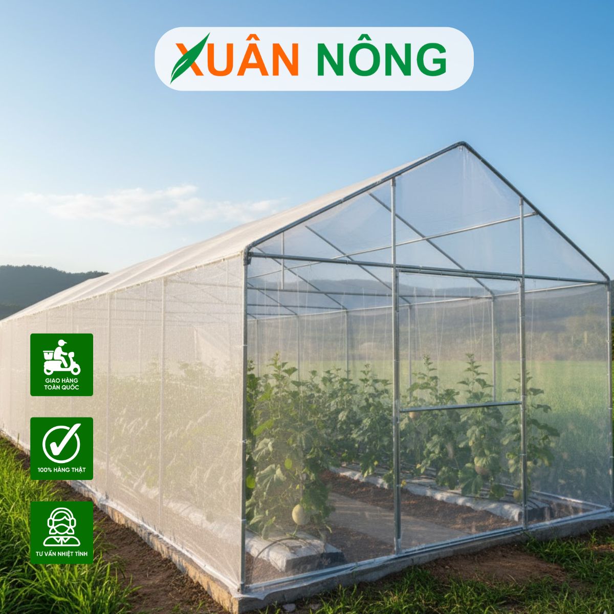 Nhà màng trồng dưa lưới - Xu hướng nông nghiệp thông minh 2025