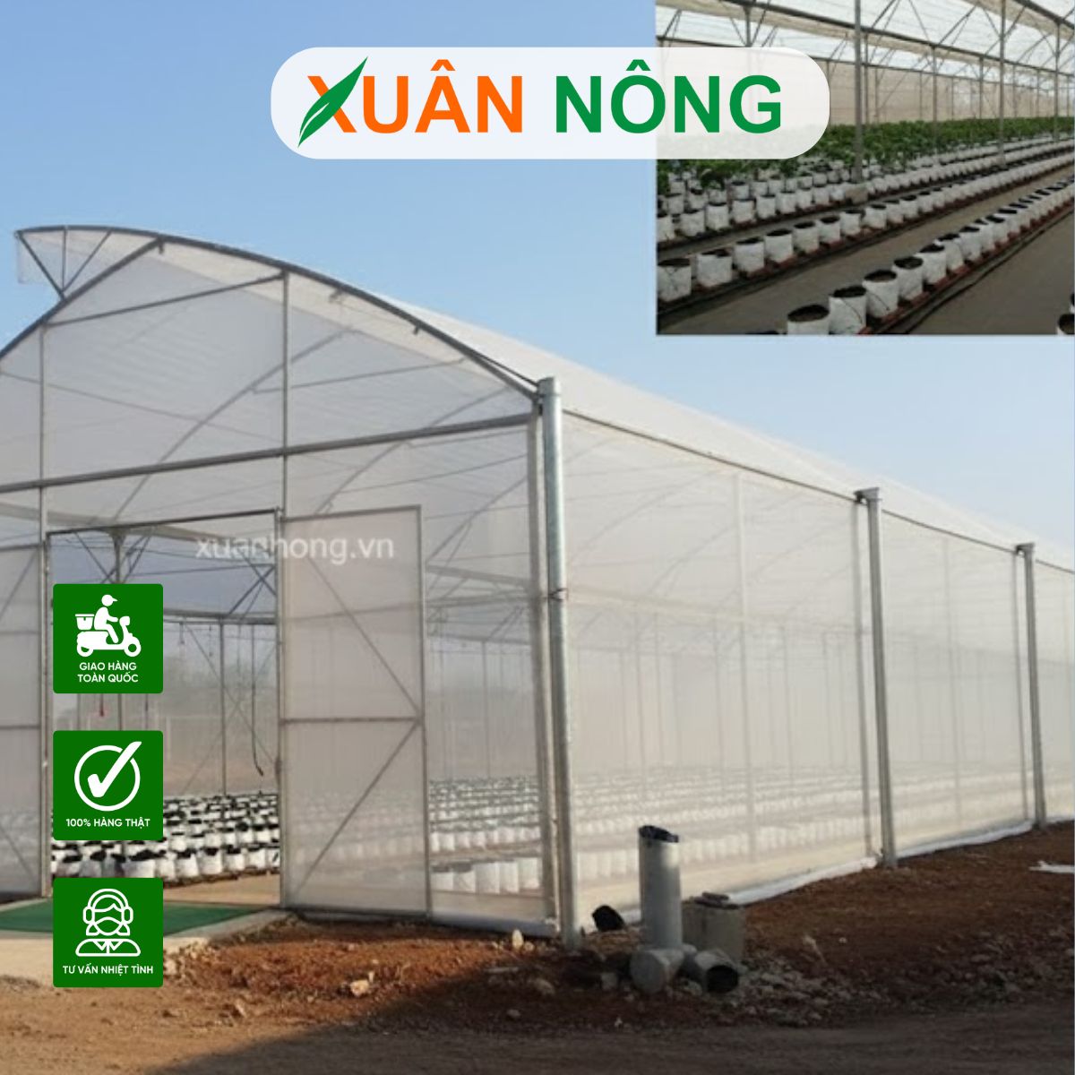 Nhà màng trồng dưa lưới - Kinh nghiệm vận hành hệ thống tự động