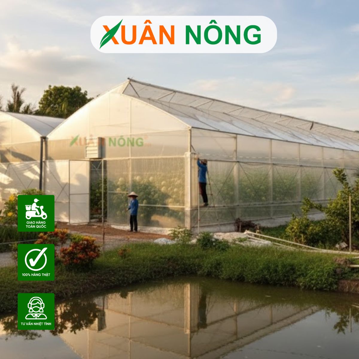 Nhà màng trồng dưa lưới - Phân tích chi phí theo cấu trúc và vật liệu