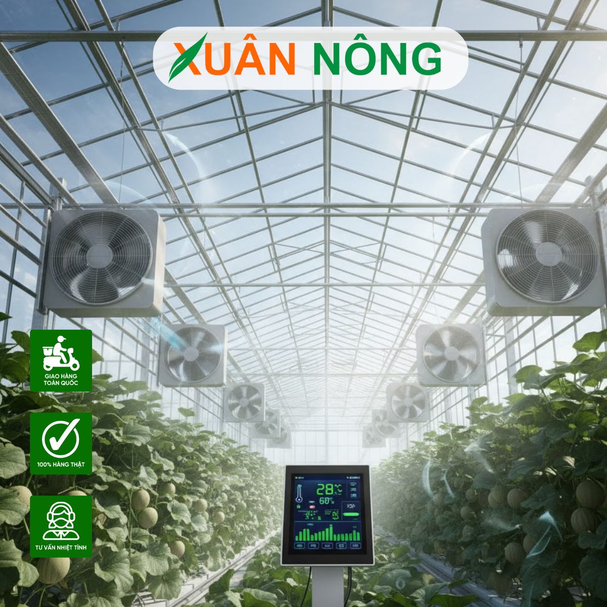 Nhà màng trồng dưa lưới - Ứng dụng cảm biến môi trường thông minh